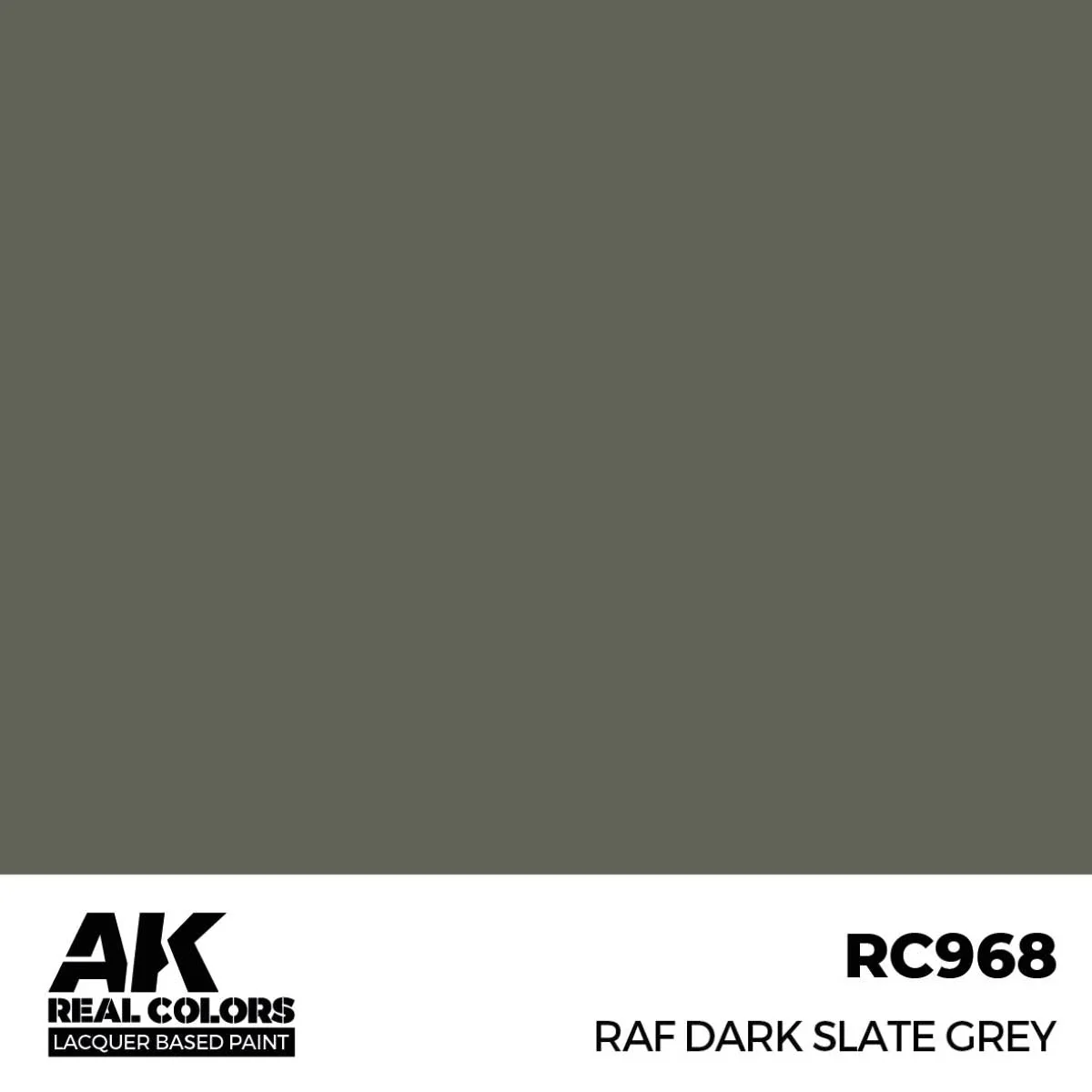 AK Interactive Real Colors - RAF Dark Slate Grey (RC968) - Image 2