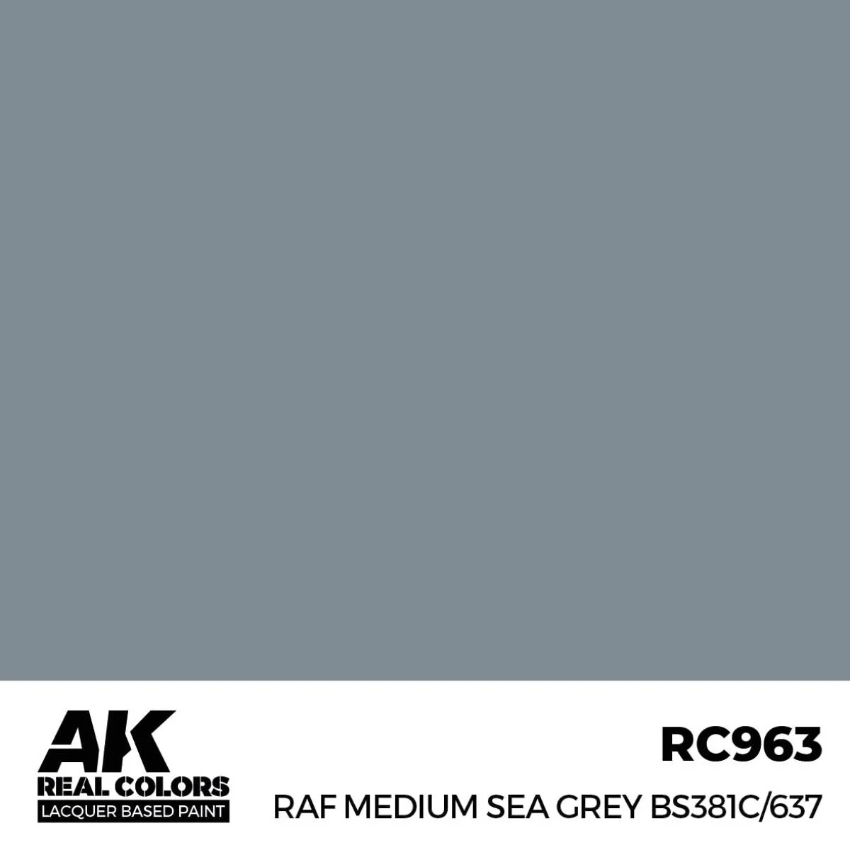 AK Interactive Real Colors - RAF Medium Sea Grey BS381C/637 (RC963) - Image 2