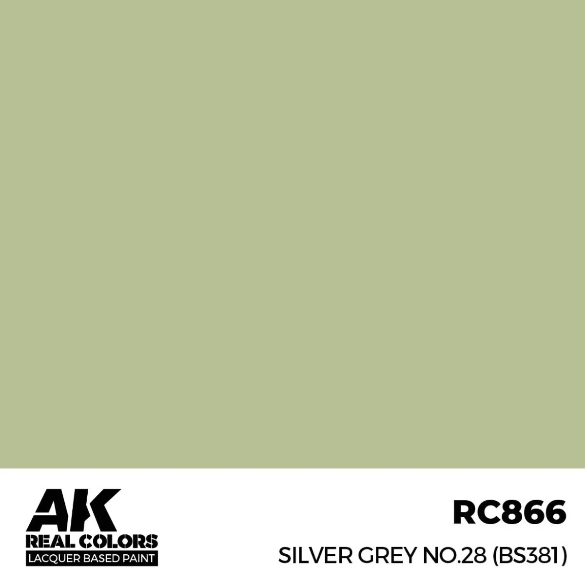 AK Interactive Real Colors - Silver Grey No.28 (BS381) (RC866) - Image 2