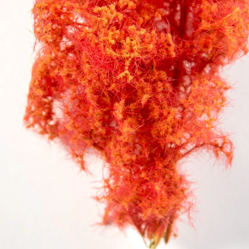 AK Interactive Red-Orange Fantasy Bushes 1/35 (AK8266) - Image 3