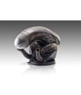 Alien Romulus Bust 1/1 Xenomorph 53cm ETA Sep 2026 - Image 5