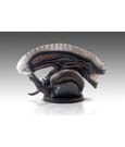Alien Romulus Bust 1/1 Xenomorph 53cm ETA Sep 2026 - Image 6
