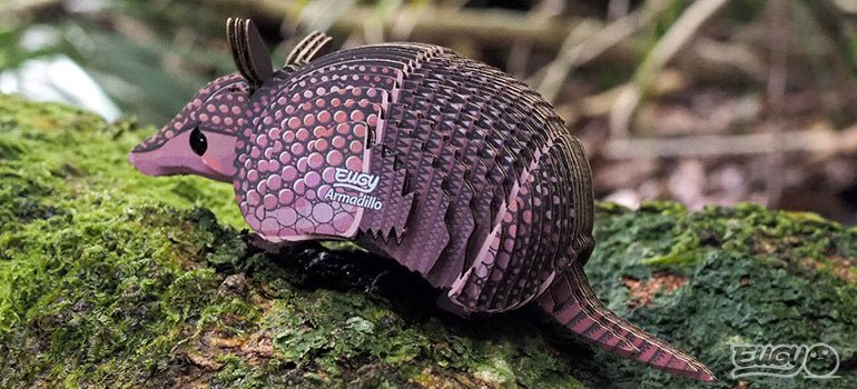 EUGY Armadillo - Image 8