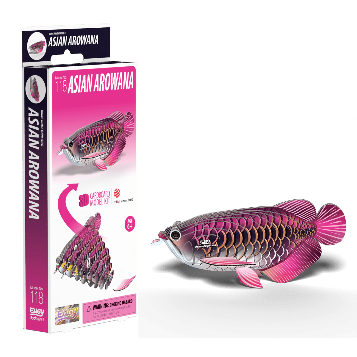 EUGY Asian Arowana