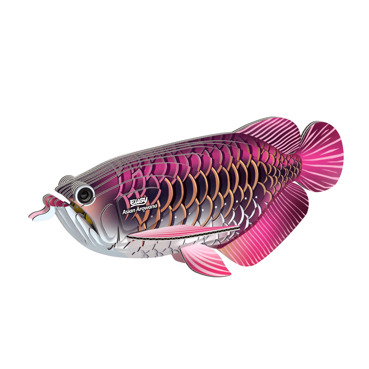 EUGY Asian Arowana - Image 2