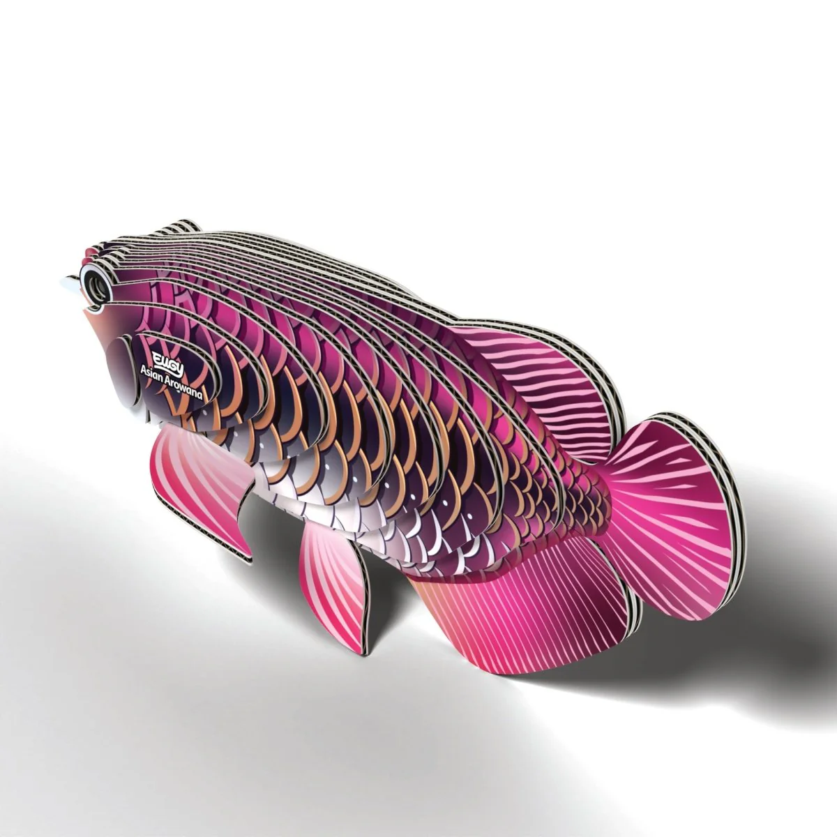 EUGY Asian Arowana - Image 4