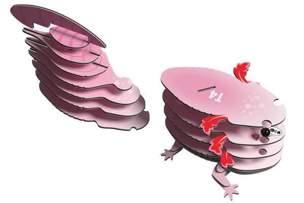 EUGY Axolotl - Image 5
