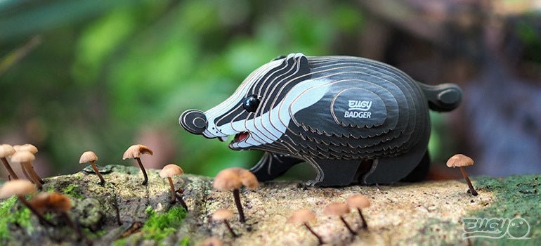 EUGY Badger - Image 10