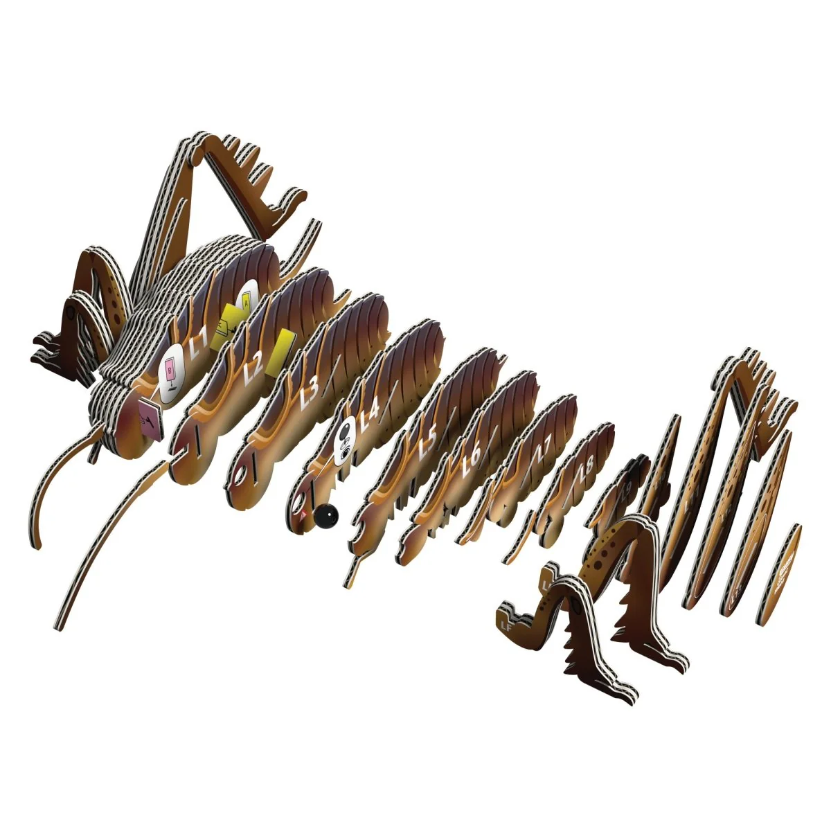 EUGY Giant Weta - Image 5