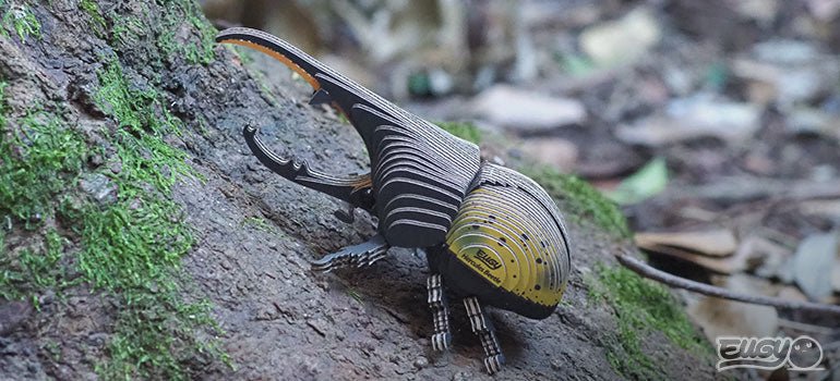 EUGY Hercules Beetle - Image 10