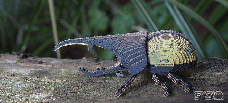 EUGY Hercules Beetle - Image 11