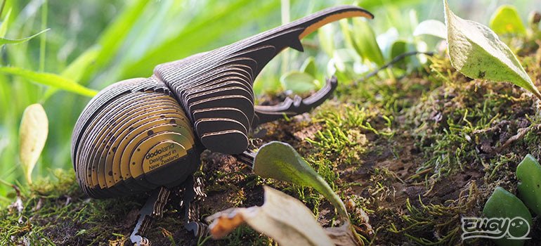 EUGY Hercules Beetle - Image 9