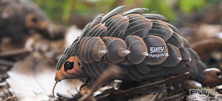 EUGY Pangolin - Image 10