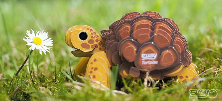 EUGY Tortoise - Image 11