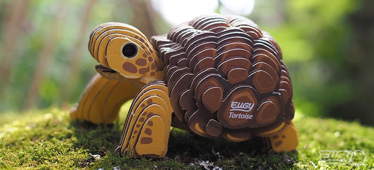 EUGY Tortoise - Image 12
