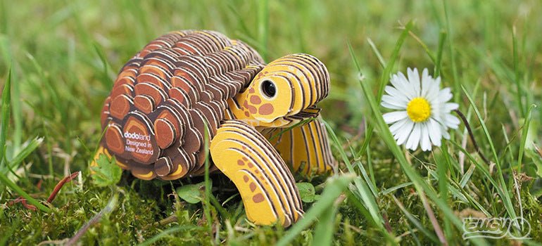 EUGY Tortoise - Image 13