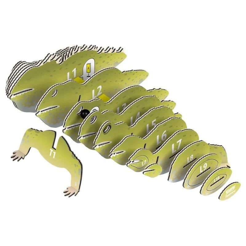 EUGY Tuatara - Image 4