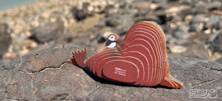 EUGY Walrus - Image 12