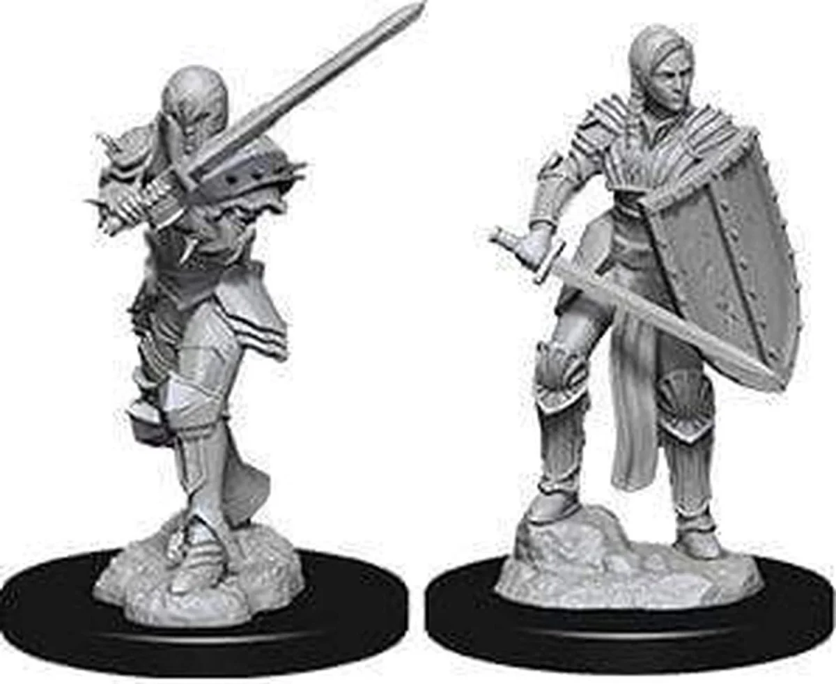 Female Human Fighter: D&D Nolzur's Marvelous Unpainted Miniatures (W9) - Image 4