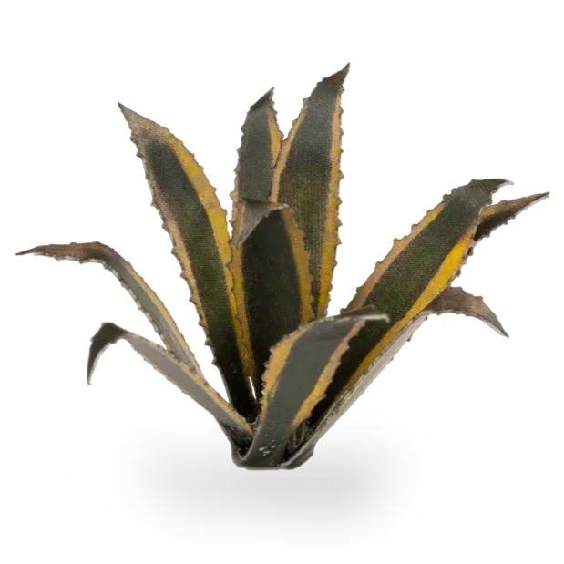 Gamers Grass Laser Plants - Agave - Image 3