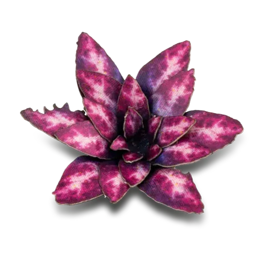 Gamers Grass Laser Plants - Alien Rosette - Image 5