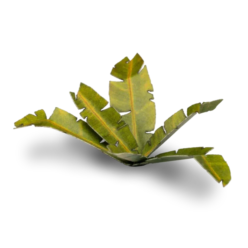 Gamers Grass Laser Plants - Banana Tree - Image 2