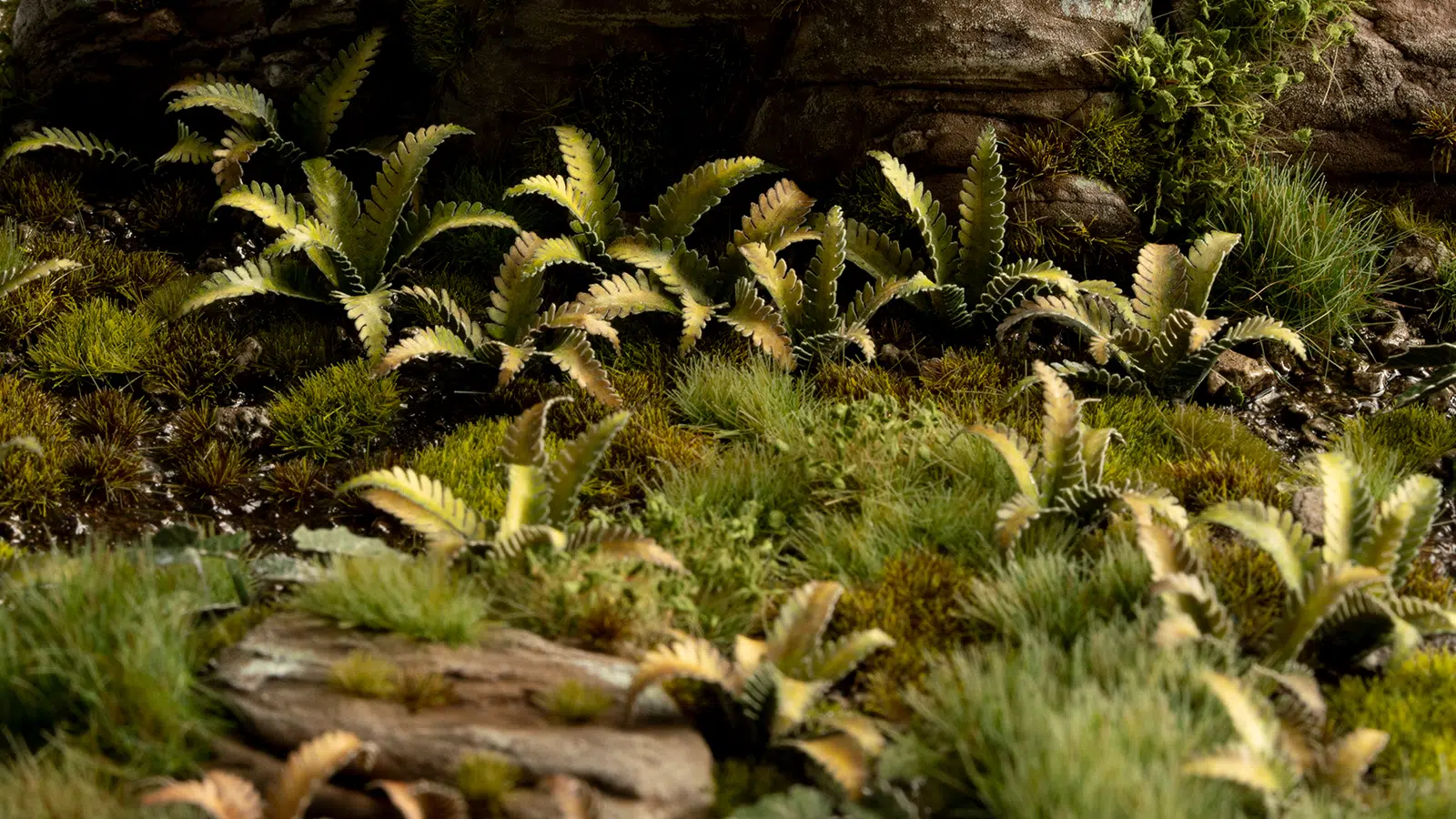 Gamers Grass Laser Plants - Deer Fern - Image 4
