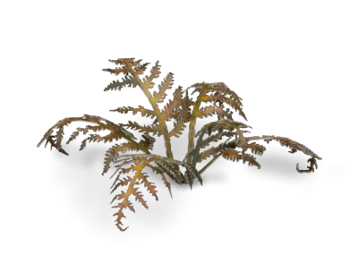 Gamers Grass Laser Plants - Dry Bracken - Image 3