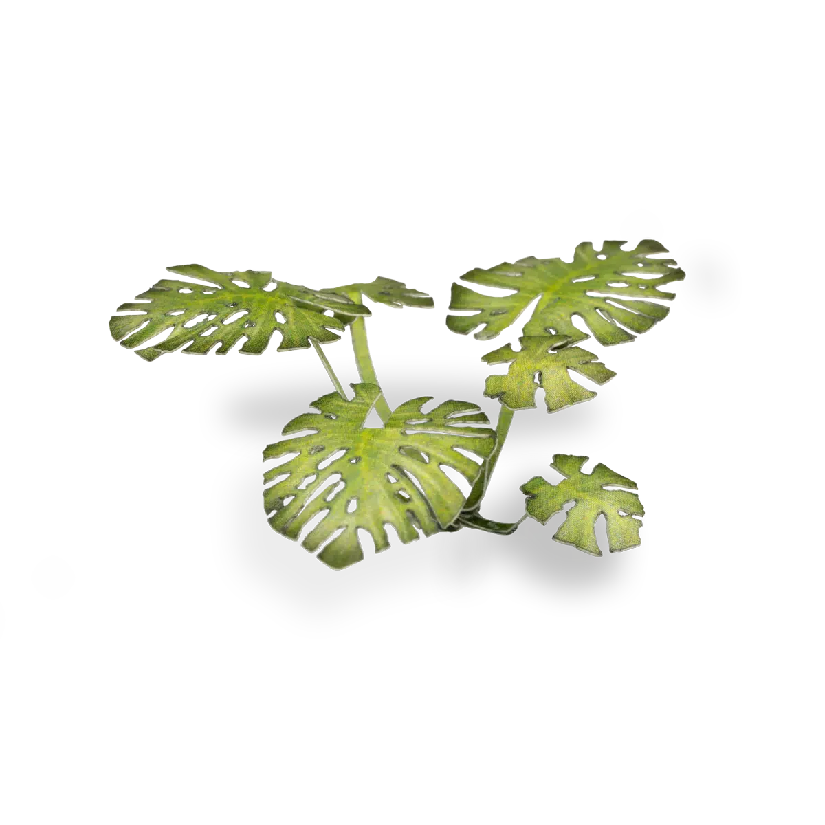 Gamers Grass Laser Plants - Monstera - Image 2