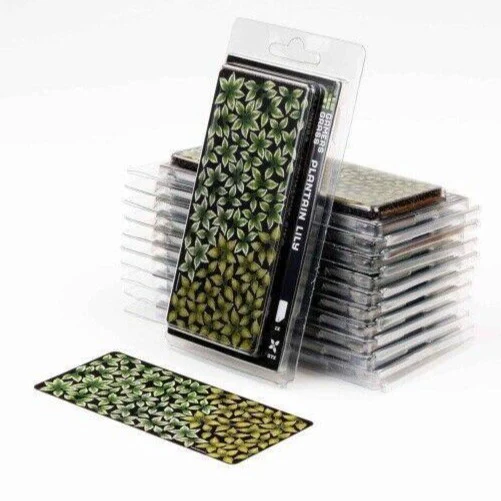 Gamers Grass Laser Plants - Plantain Lily