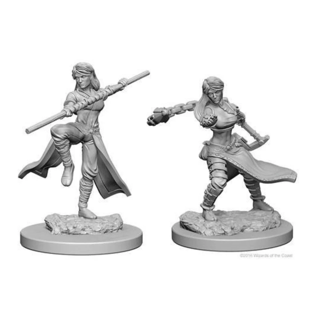 Human Female Monk: D&D Nolzur's Marvelous Unpainted Miniatures (W1)