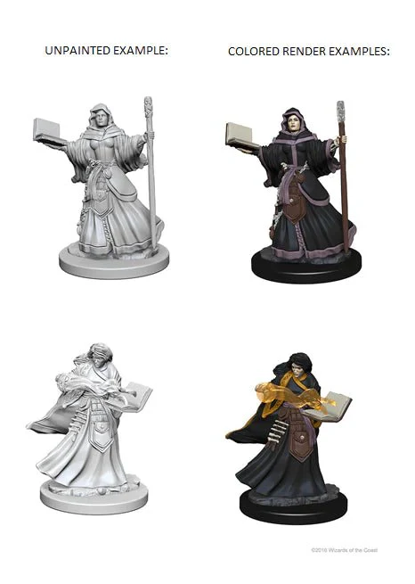 Human Female Wizard: D&D Nolzur's Marvelous Unpainted Miniatures (W1) 100D&D - Image 3