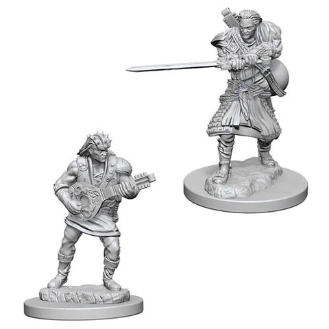 Human Male Bard: D&D Nolzur's Marvelous Unpainted Miniatures (W4)