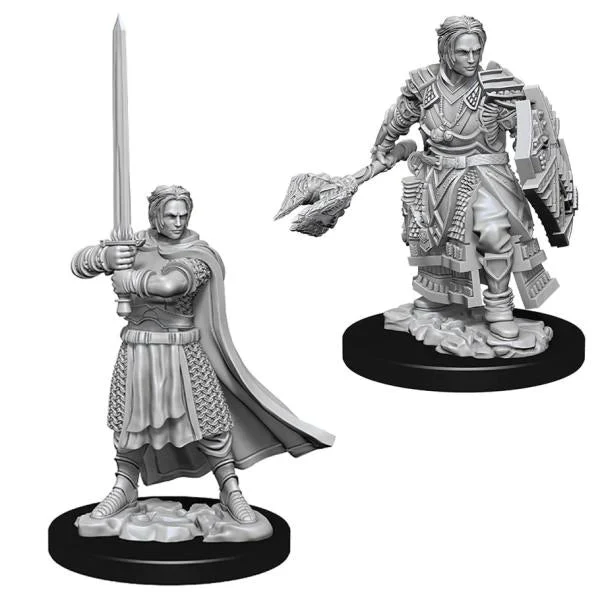 Male Human Cleric: D&D Nolzur's Marvelous Unpainted Miniatures (W8)