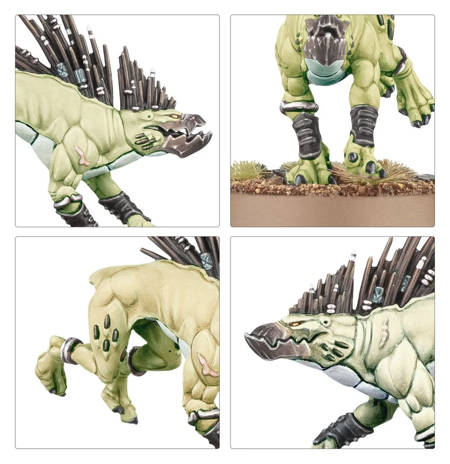T'au Empire: Kroot Hounds - Image 3