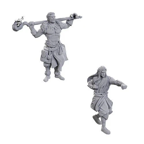 Wizkids - D&D Nolzurs Marvelous Miniatures: Archdruid & Martial Arts Adept - Wave 24