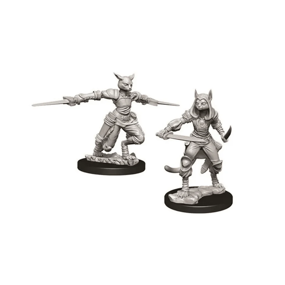WizKids - D&D Nolzurs Marvelous Miniatures: Female Tabaxi Rogue - Wave 9