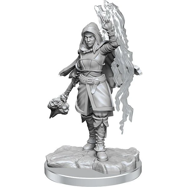 WizKids - D&D Nolzurs Marvelous Miniatures: Half-Elf Warlock - Wave 20