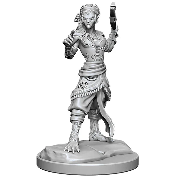 WizKids - D&D Nolzurs Marvelous Miniatures: Shifter Fighter - Wave 20