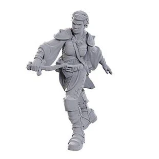 Wizkids - D&D Nolzurs Marvelous Miniatures: Wave 25 - Swashbuckler